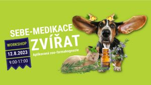 fbook-seminar-Dita